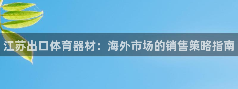 耀世娱乐辅助软件下载官网：江苏出口体育器材：海外市场的销售策