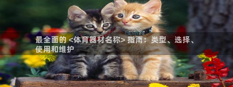 耀世平台网站:最全面的 <体育器材名称> 指南:类型、选择、