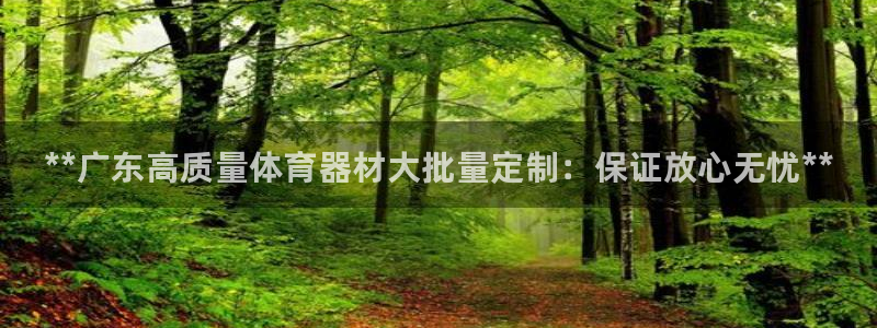 耀世娱乐登陆地址在哪:**广东高质量体育器材大批量定制:保证