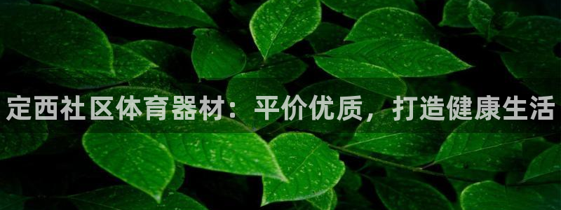 耀世平台代理怎么样:定西社区体育器材:平价优质,打造健康生活